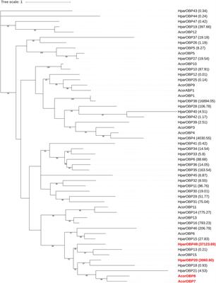 Two Odorant-Binding Proteins of the Dark Black Chafer (Holotrichia parallela) Display Preferential Binding to Biologically Active Host Plant Volatiles